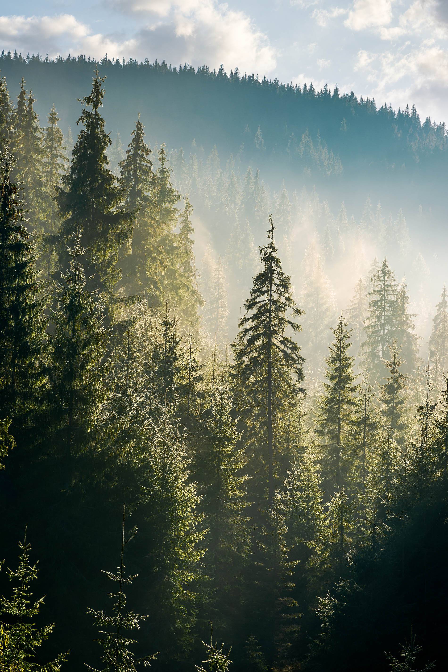 AdobeStock_224666390.jpeg
