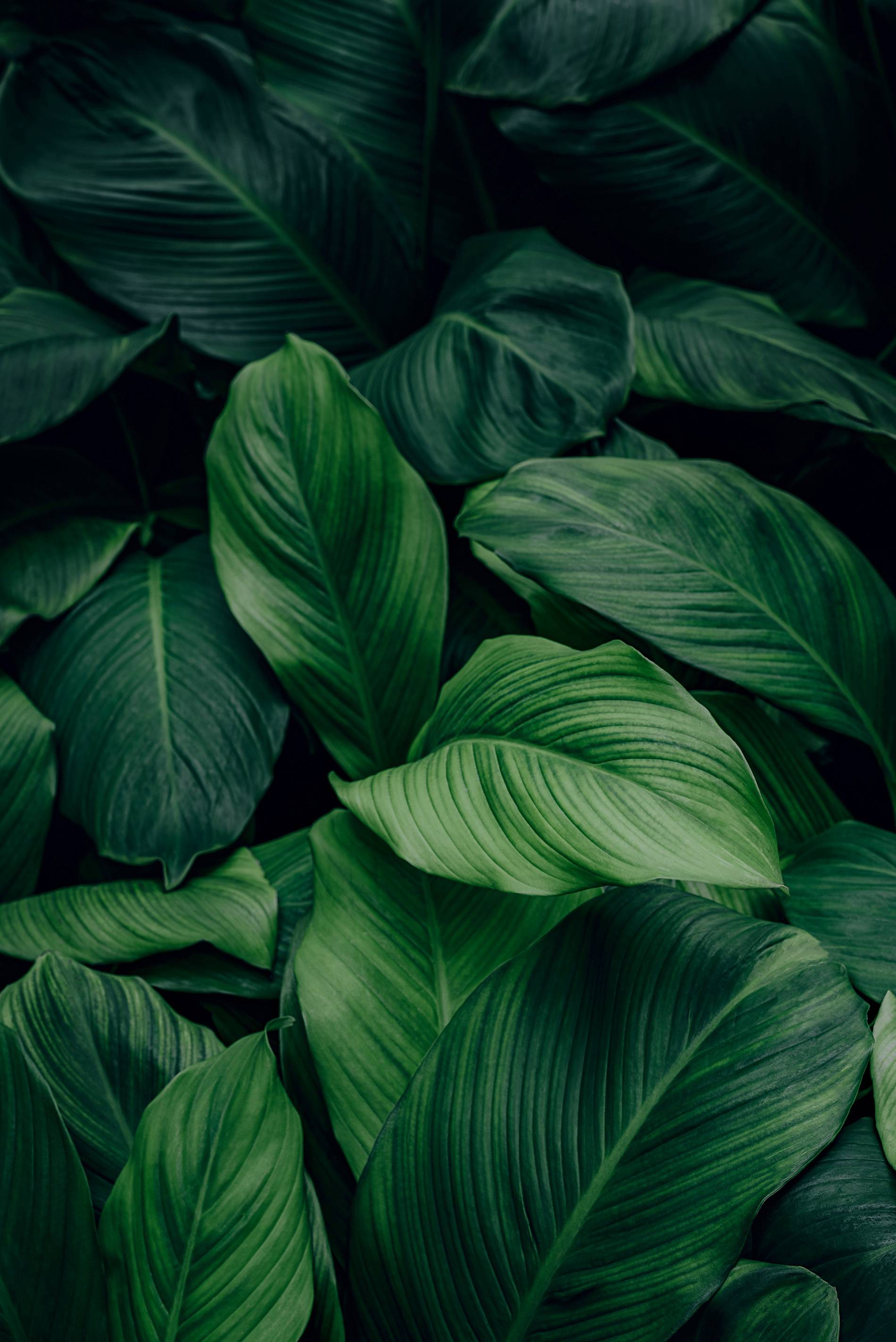AdobeStock_357963926.jpeg